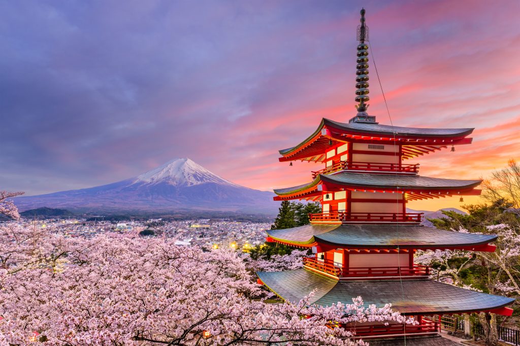 Japan Airlines — Self Bag Drop